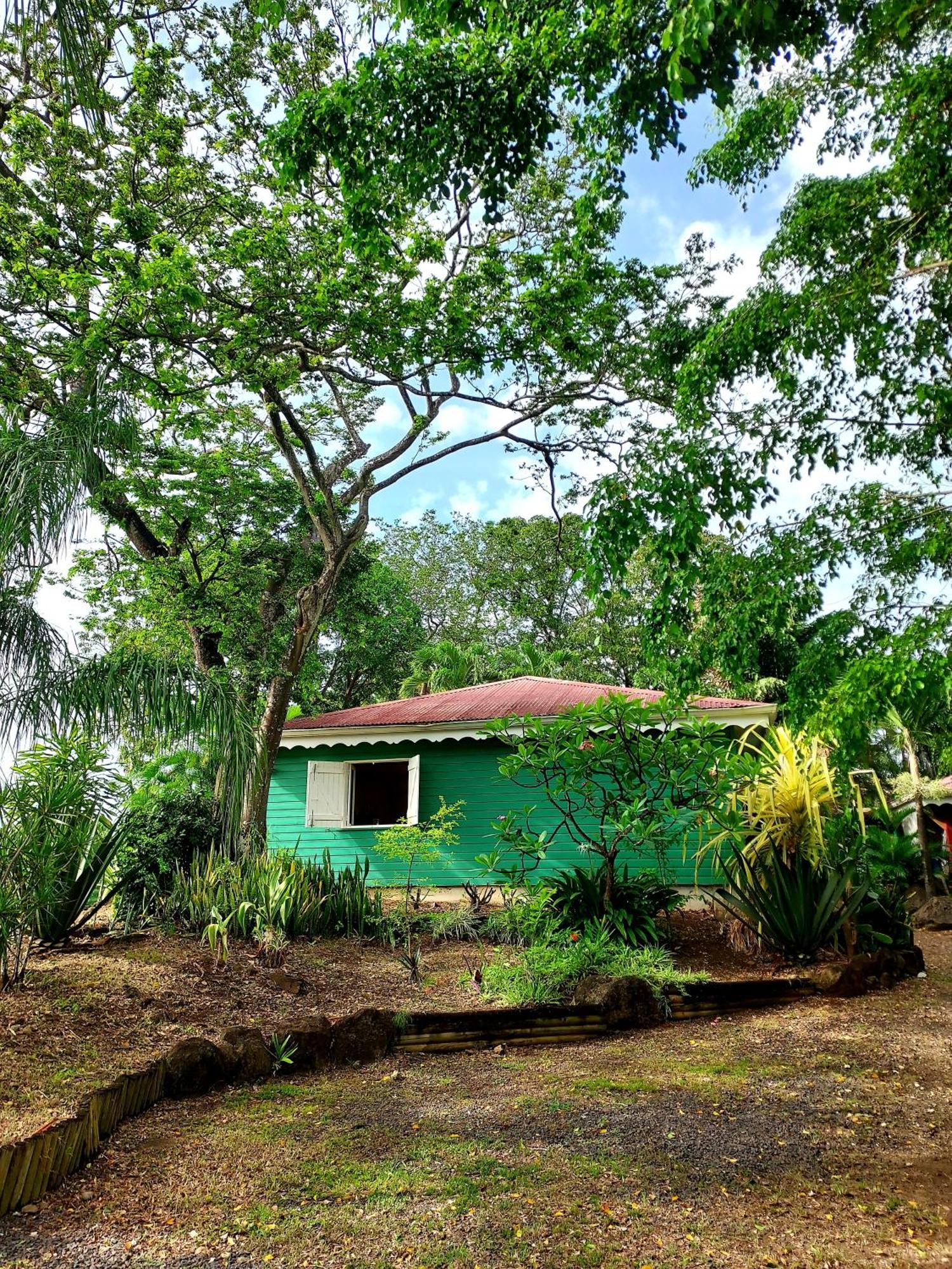 Bungalow Du Jardin Botanique De Deshaies Ruang foto